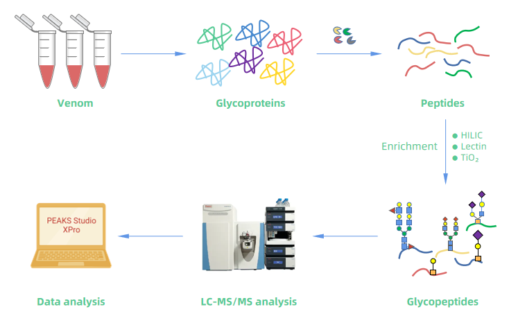 1978665533243510784-venom-glycopeptides-analysis-service2.PNG