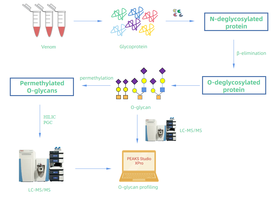 1978699029139804160-venom-o-glycan-analysis-service1.PNG