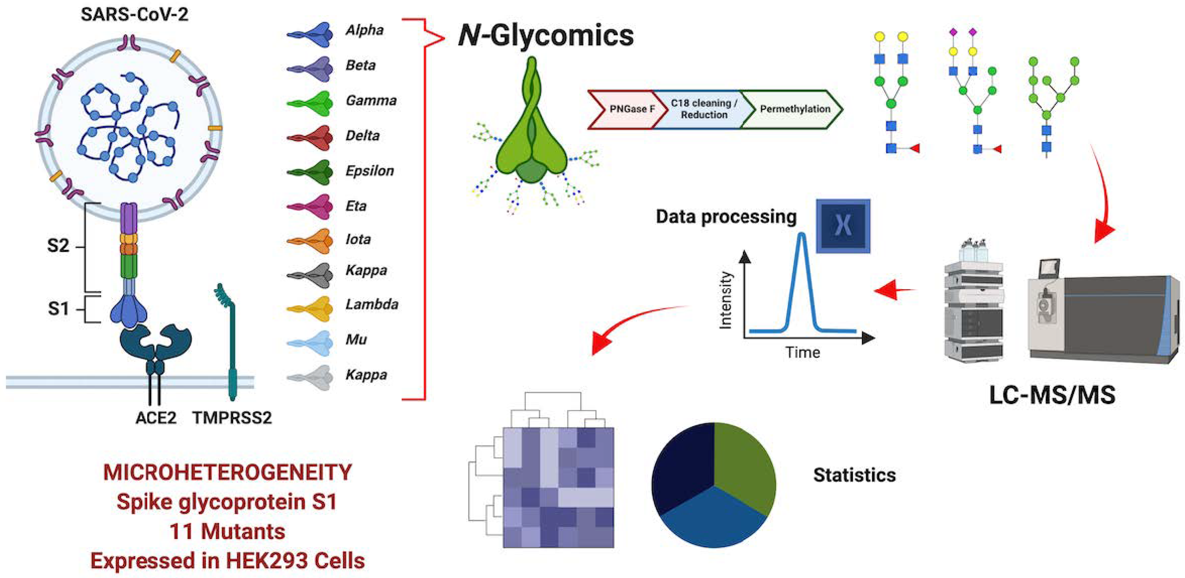 1979010020293595136-viral-n-glycoproteomics-service2.png
