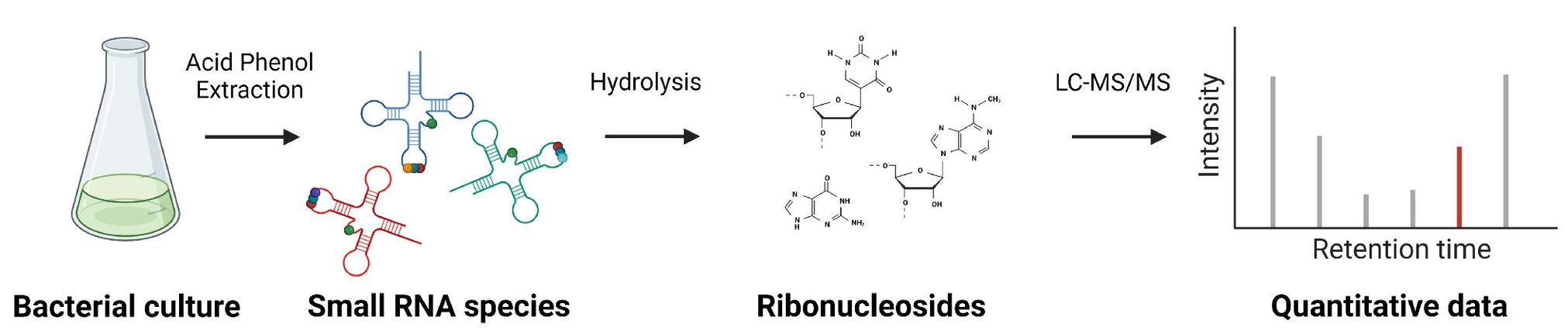 trna-modification-lc-ms-analysis-service2.jpg