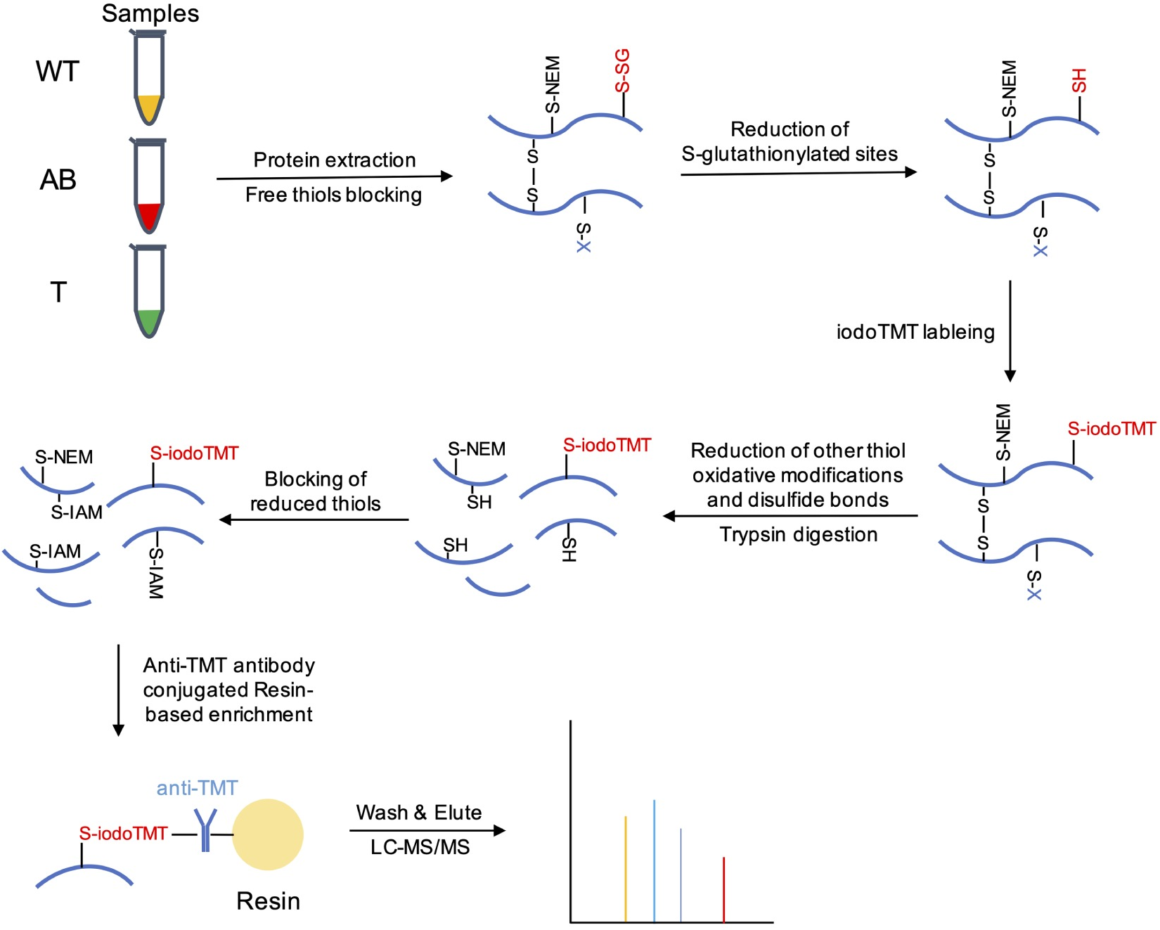 1980196814410338304-s-glutathionylation-mapping-service2.png