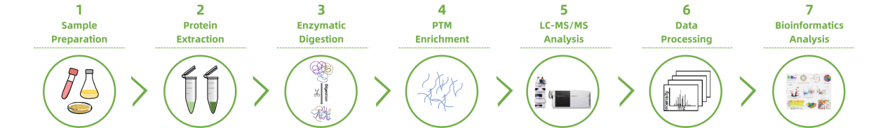 targeted-post-translational-modification-ptm-profiling-service2