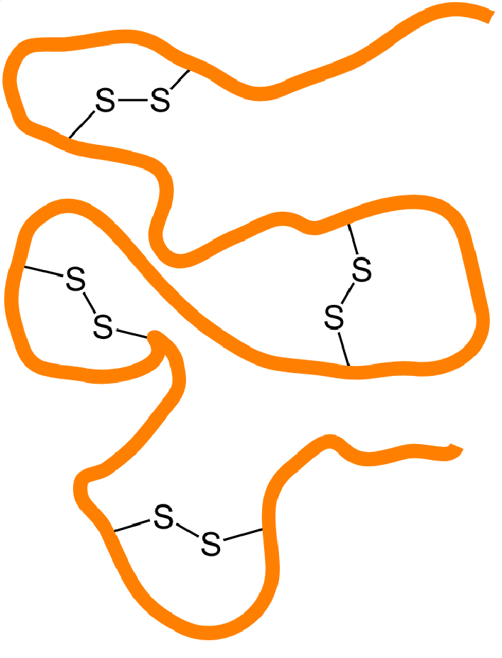 disulfidomics-profiling-service1