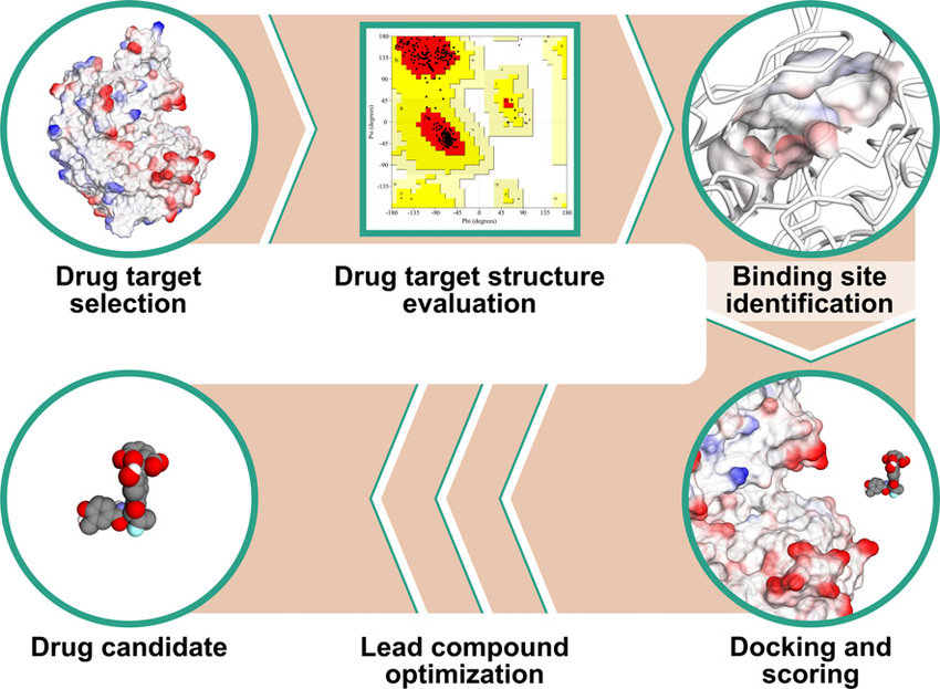 Structure-Based-Drug-Discovery-Sevice-1.png