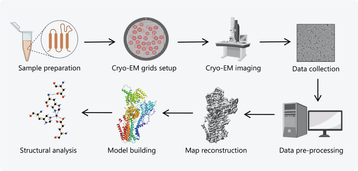 cryo-em-single-particle-analysis-technology-1.png