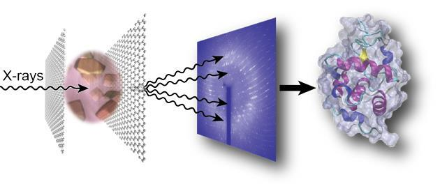 high-throughput-protein-crystal-screening-and-structure-analysis-technology-1.png