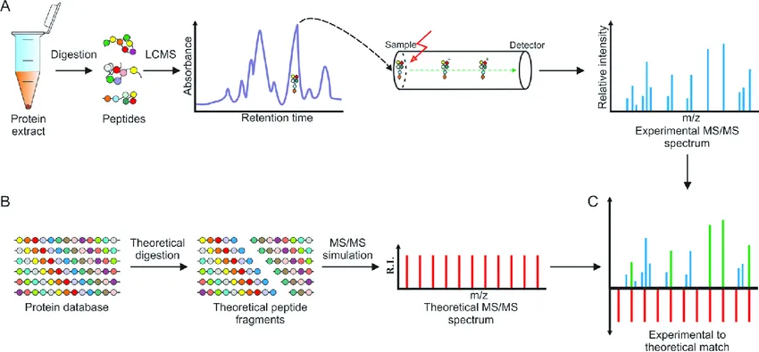 comprehensive-protein-sequencing-analysis-service1.png