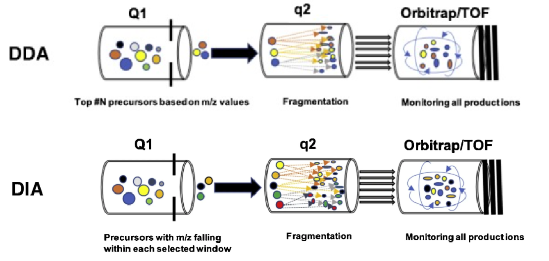 1997875119238270976-dia-quantitative-proteomics-analysis-service1.png