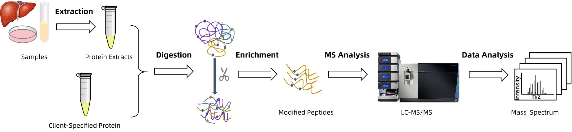 ptm-qualitative-analysis-service