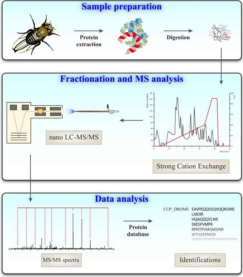 qualitative-proteomics-services2.png