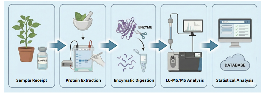 plant-protein-ms-identification-service-2