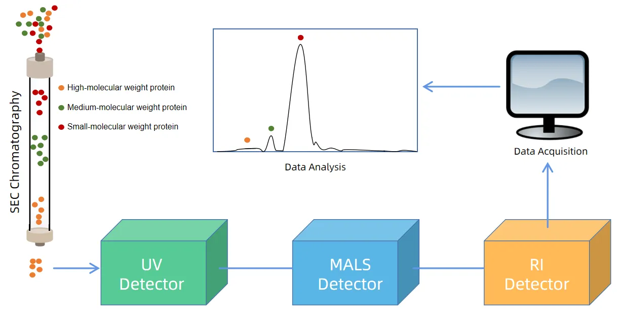 molecular-weight-determination-service
