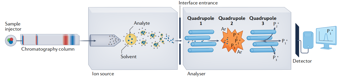 molecular-weight-determination-service-2