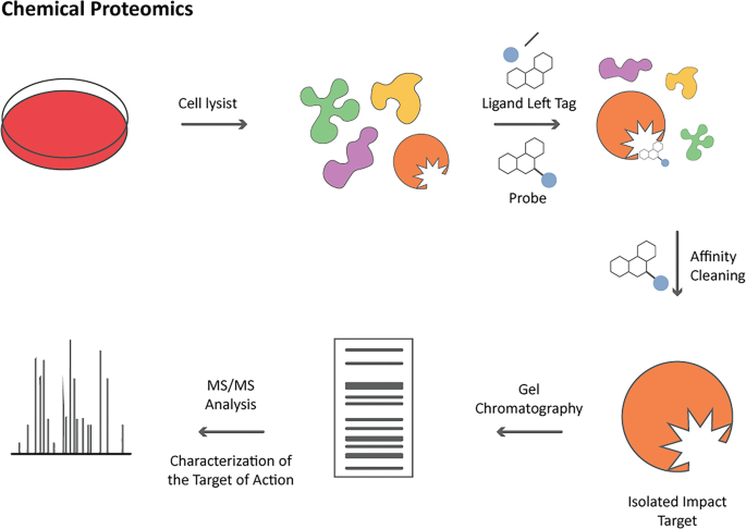 chemical-proteomics-service-1