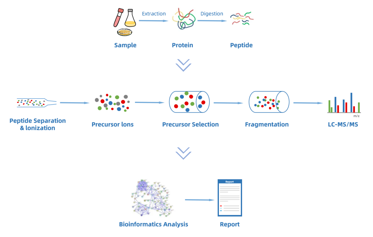 global-proteomic-quantification-service1