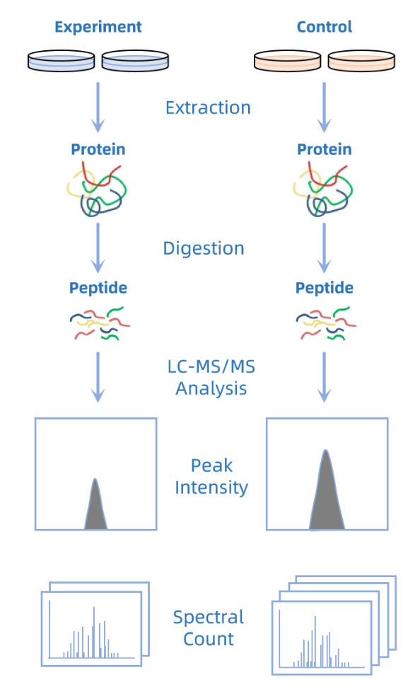 global-proteomic-quantification-service2