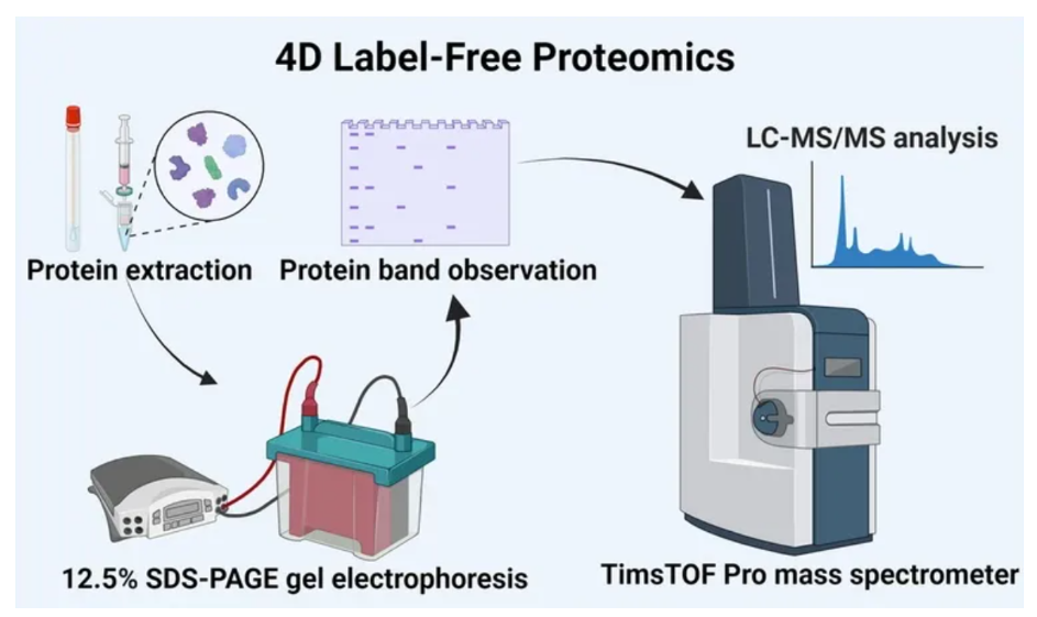 global-proteomic-quantification-service3