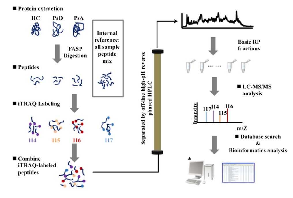 global-proteomic-quantification-service5