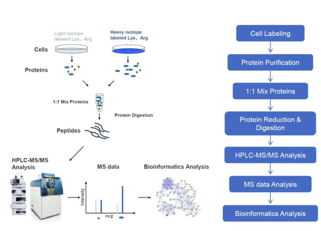 global-proteomic-quantification-service6