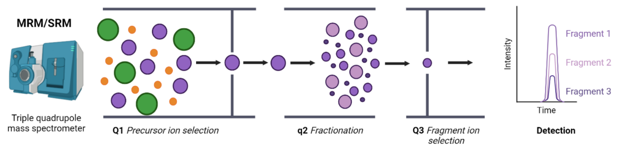 targeted-proteome-quantification-service1