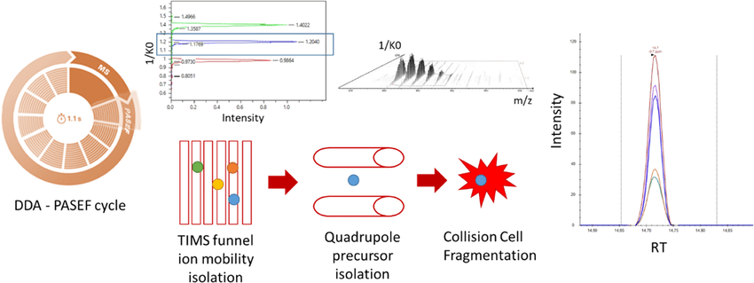 targeted-proteome-quantification-service3