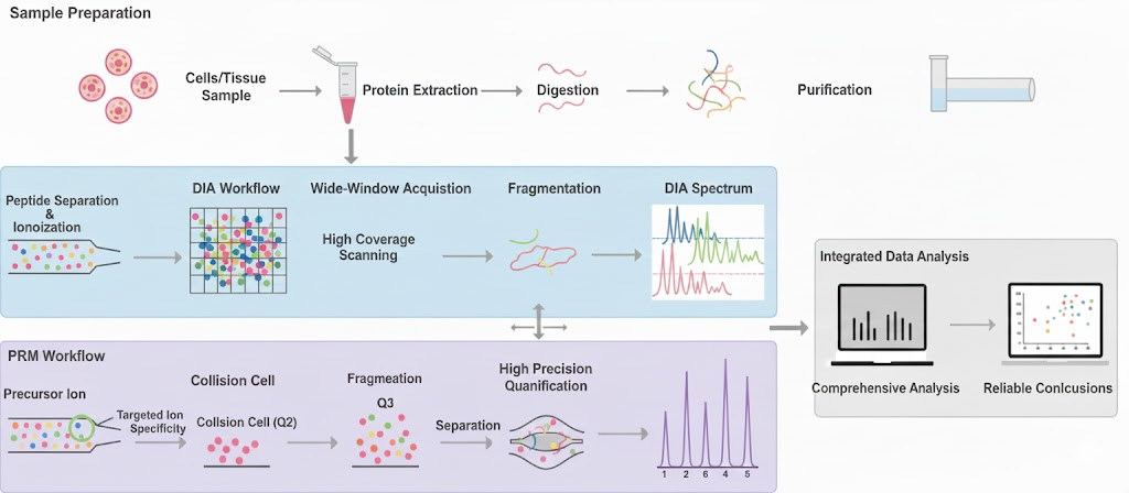 targeted-proteome-quantification-service4