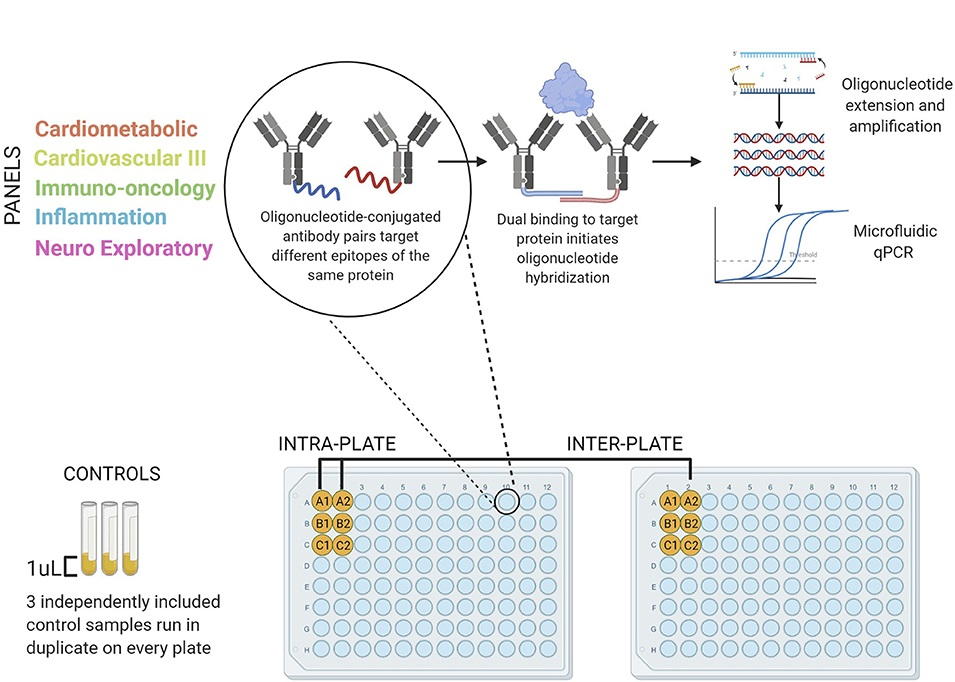 targeted-proteome-quantification-service5