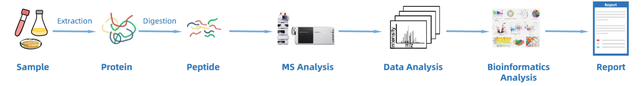post-translational-modification-proteome-profiling-service2