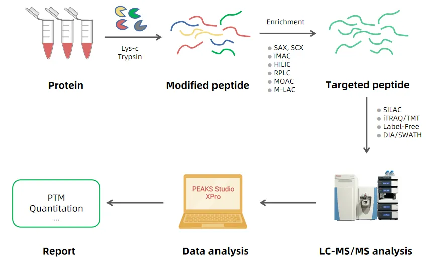 quantitative-ptm-omics-service1