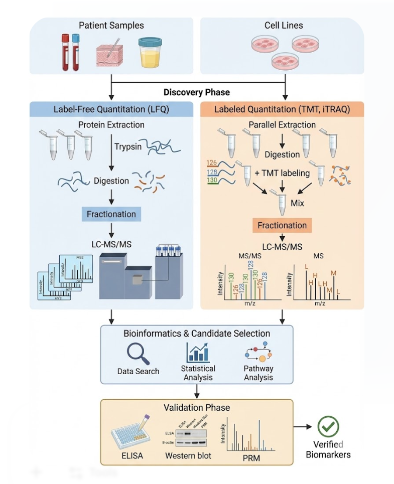 biomarker-proteomics-solutions1