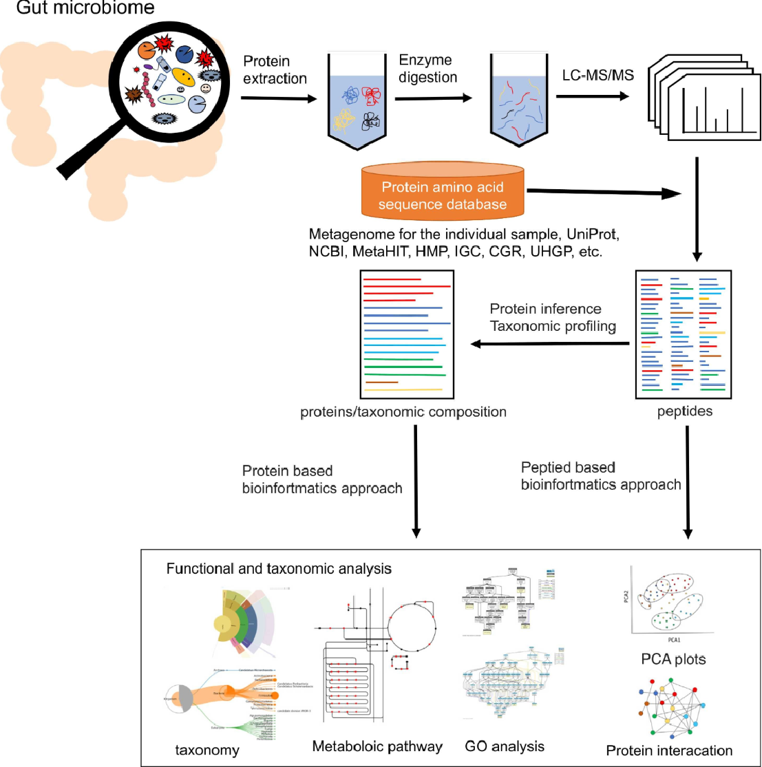 metaproteomics-service1