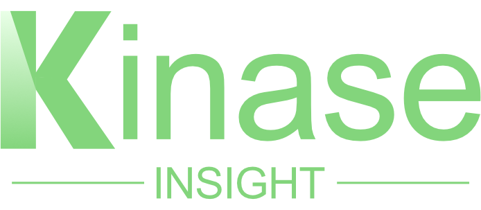 https://file.brightmindcrm.com/test/bt-crms-info/20250122/config/1881991327898406912-Kinase-Insight.png